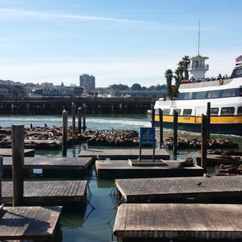 PIER 39 - Sea Lions (5.0 stars) - Shopping Centers Near Me - San Francisco, California
