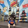 The Smartydog Center for Canine Enrichment