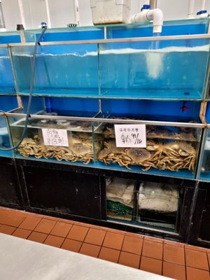 Quality Seafood by null