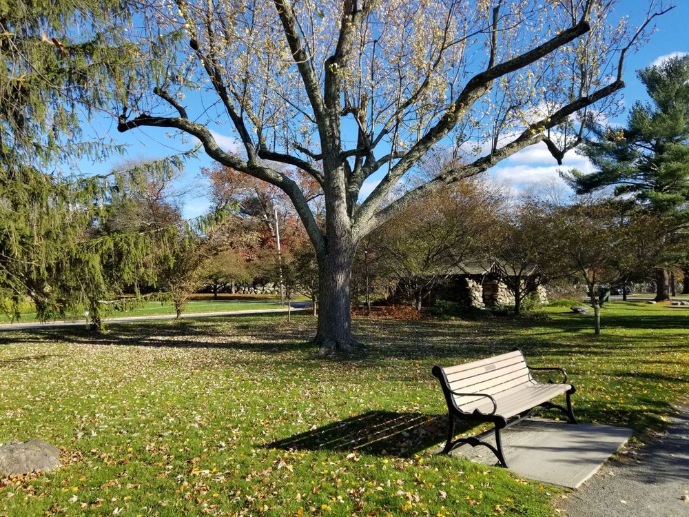Blackstone Boulevard Walking Path