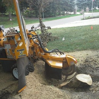 Golden Oak Tree Service Tree Services 3130 145th St W Rosemount Mn Phone Number