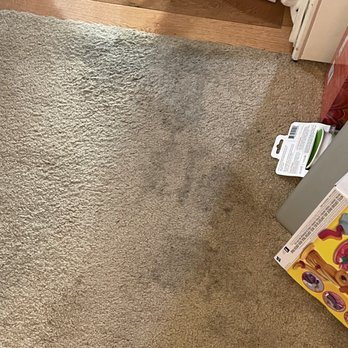 Zimp - Before - Carpet Cleaning Near Me - Seattle, Washington Zimp - Before - Carpet Cleaning Near Me - Seattle, Washington