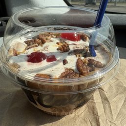 Turtle Sundae