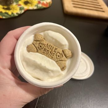 The Ice Cream Bar - Pup cup - Desserts Near Me - Delanco, New Jersey The Ice Cream Bar - Pup cup - Desserts Near Me - Delanco, New Jersey