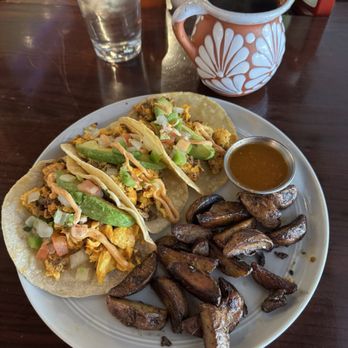 Axolotl Café - Breakfast tacos - Breakfast & Brunch Near Me - Milwaukee, Wisconsin Axolotl Café - Breakfast tacos - Breakfast & Brunch Near Me - Milwaukee, Wisconsin