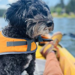 pup friendly pup friendly