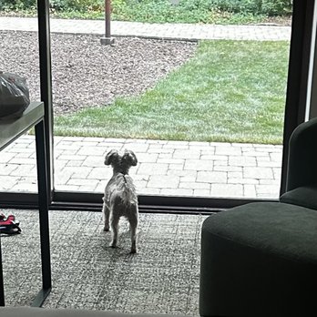 Hyatt Lodge Oak Brook Chicago - Gigi taking in all the beauty :) - Hotels Near Me - Oak Brook, Illinois Hyatt Lodge Oak Brook Chicago - Gigi taking in all the beauty :) - Hotels Near Me - Oak Brook, Illinois