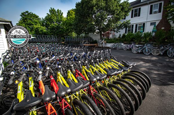 Provincetown Bike Rentals by null