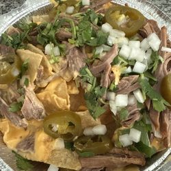 The Taco Spot - Surprise - "Birria" nachos: bland and not seasoned not soaked in consome.