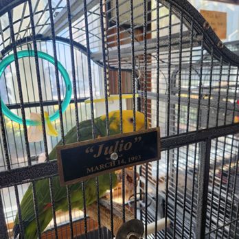 Spring Garden Restaurant - Breakfast & Brunch Near Me - Myrtle Beach, South Carolina