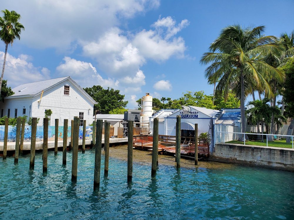 KEY WEST AQUARIUM 317 Photos & 139 Reviews 1 Whitehead St, Key West