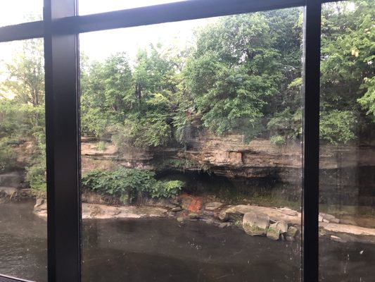 Beau's on the River by null