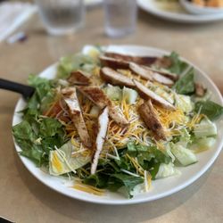 Cosmos Restaurant - Grilled chicken salad