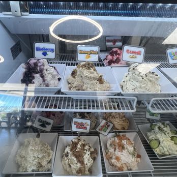 Bagels & Co - Coffee & Tea Near Me - Davie, Florida