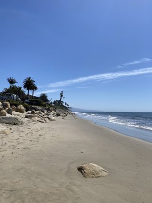 Butterfly Beach by null