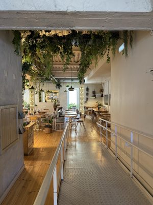 Fauna & Flora - Santos by null