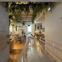 Fauna & Flora - Beautiful interior!