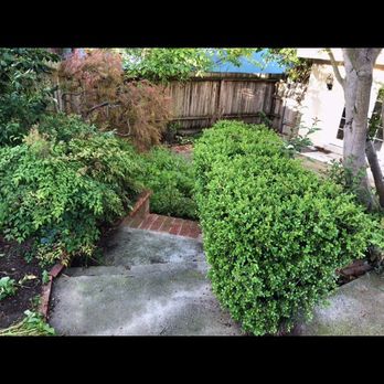 Oriental Landscaping - Before - Landscaping Near Me Oriental Landscaping - Before - Landscaping Near Me