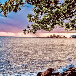 Merrie Monarch Festival - Hilo, Hawai'i - Home of the prestigious Merrie Monarch Festival. A week-long cultural event founded in 1963.