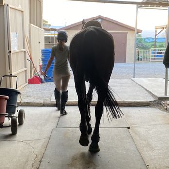 Talisman Farm - Horseback Riding Near Me - Las Vegas, Nevada Talisman Farm - Horseback Riding Near Me - Las Vegas, Nevada