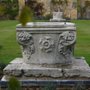 Photo of New England Garden Company