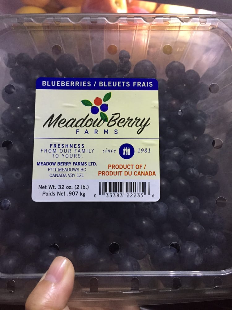 MEADOW BERRY FARMS Updated September 2024 12554 Wooldridge Road