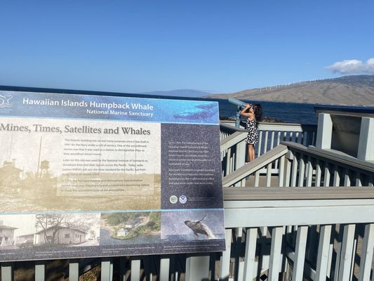 Hawaiian Islands Humpback Whale National Marine Sanctuary Visitor Center by null