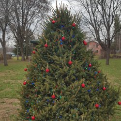 Spring Valley Tree Farm