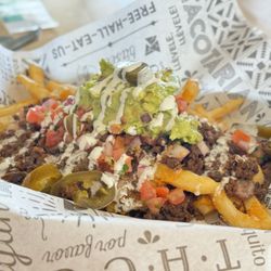 Tacotarian Downtown - Asada Fries