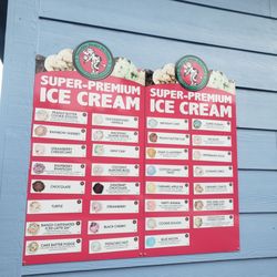 Bubbles Ice Cream Parlor - Choices! #yum#ReviewsByRL