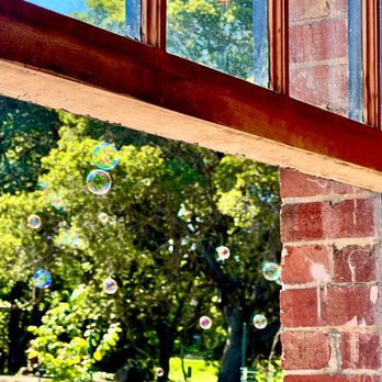 The Hidden Cafe - Bubbles on a nice sunny day. - Coffee & Tea Near Me - Berkeley, California The Hidden Cafe - Bubbles on a nice sunny day. - Coffee & Tea Near Me - Berkeley, California
