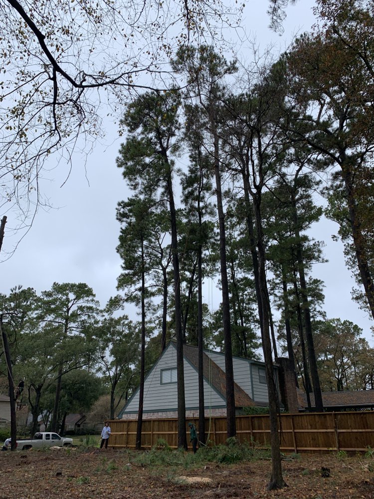 Slide of Champ Vision Roofing Services