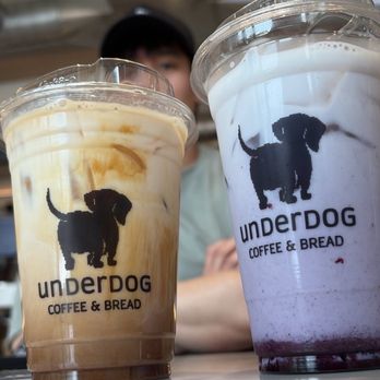Underdog Coffee & Bread - Iced vanilla latte and blueberry latte - Breakfast & Brunch Near Me - Annandale, Virginia Underdog Coffee & Bread - Iced vanilla latte and blueberry latte - Breakfast & Brunch Near Me - Annandale, Virginia