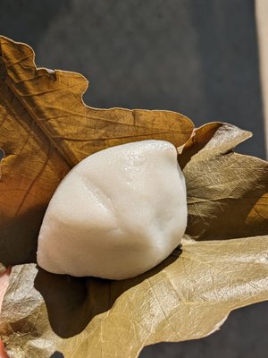 Chikara Mochi by null