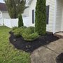 Photo of Serenity Lawn Services