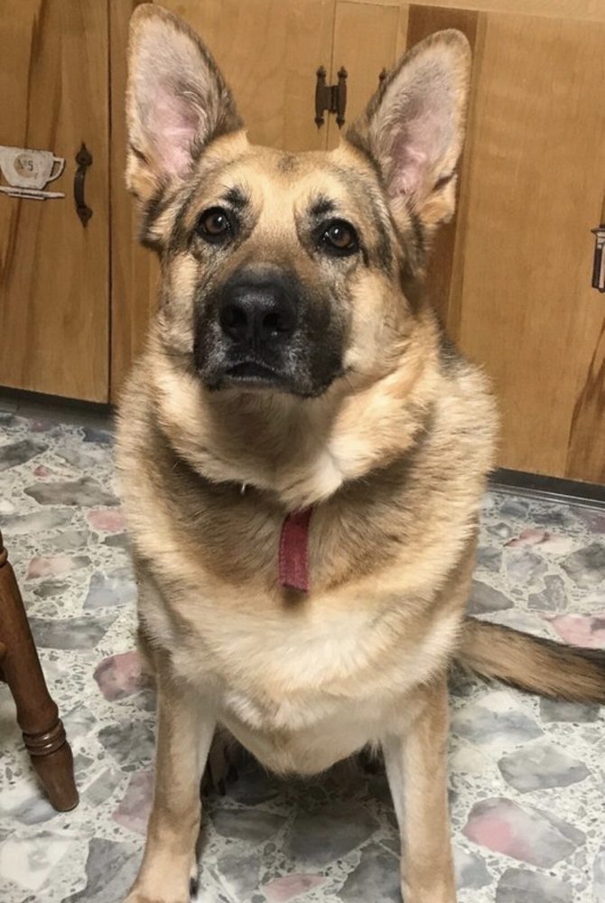 Beverly Heritage Center