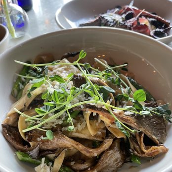 SILVIA - Local mushrooms and pasta rags - New American Near Me - Woodstock, New York SILVIA - Local mushrooms and pasta rags - New American Near Me - Woodstock, New York