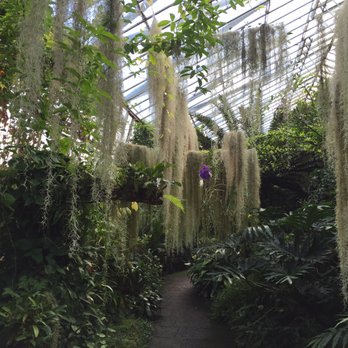 Royal Botanic Garden Edinburgh - glasshouse - Botanical Gardens Near Me - Edinburgh, EDH Royal Botanic Garden Edinburgh - glasshouse - Botanical Gardens Near Me - Edinburgh, EDH