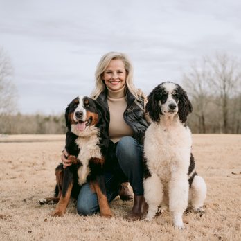 Bernedoodle Bliss - LaDonna Thomas, Owner of Bernedoodle Bliss, with Gucci and Ransom. - Pet Breeders Near Me - Searcy, Arkansas Bernedoodle Bliss - LaDonna Thomas, Owner of Bernedoodle Bliss, with Gucci and Ransom. - Pet Breeders Near Me - Searcy, Arkansas