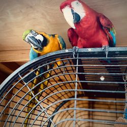 user provided Linton's Enchanted Gardens photo