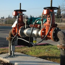 Blue Mountain Backflow