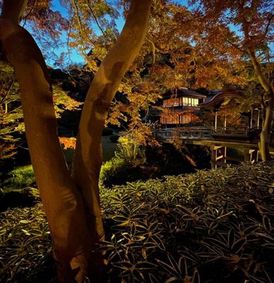 Sankeien Garden by null