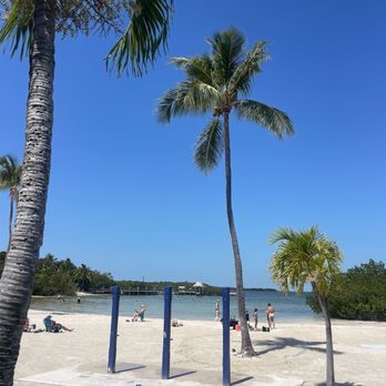 Founders Park - Beach area at park - Parks Near Me - Islamorada, Florida