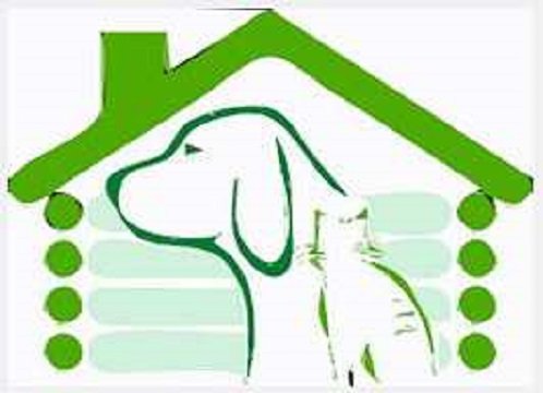 Slide of Winter Garden Roof Repair