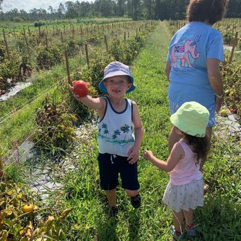 Wesley Wells Farm - Fresh produce you can pick! - Pick Your Own Farms Near Me - St. Augustine, Florida
