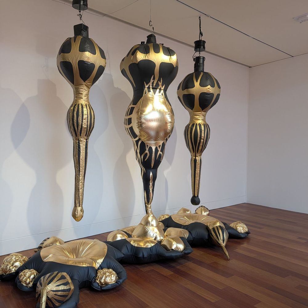 Cameron Art Museum - Art Museums Near Me - Wilmington, North Carolina Cameron Art Museum - Art Museums Near Me - Wilmington, North Carolina