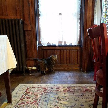 Spencer House Bed & Breakfast - House cat - Bed & Breakfast Near Me - Erie, Pennsylvania Spencer House Bed & Breakfast - House cat - Bed & Breakfast Near Me - Erie, Pennsylvania