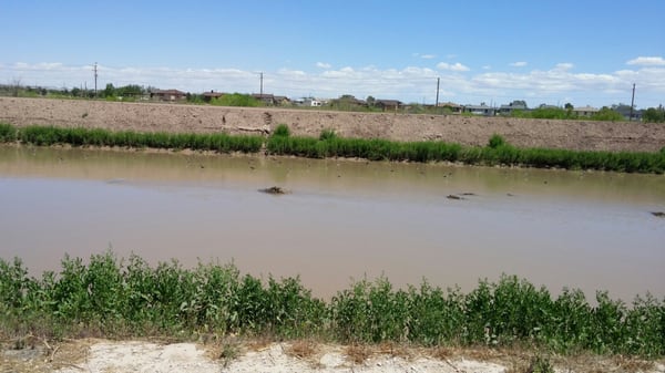 Rio Bosque Park by null