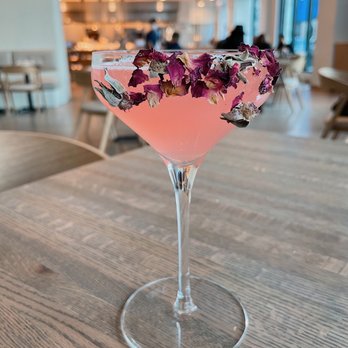 Apolonia - Cocktail! - Modern European Near Me - Chicago, Illinois Apolonia - Cocktail! - Modern European Near Me - Chicago, Illinois