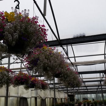 Snohomish Garden Center - Nurseries & Gardening Near Me - Snohomish, Washington Snohomish Garden Center - Nurseries & Gardening Near Me - Snohomish, Washington